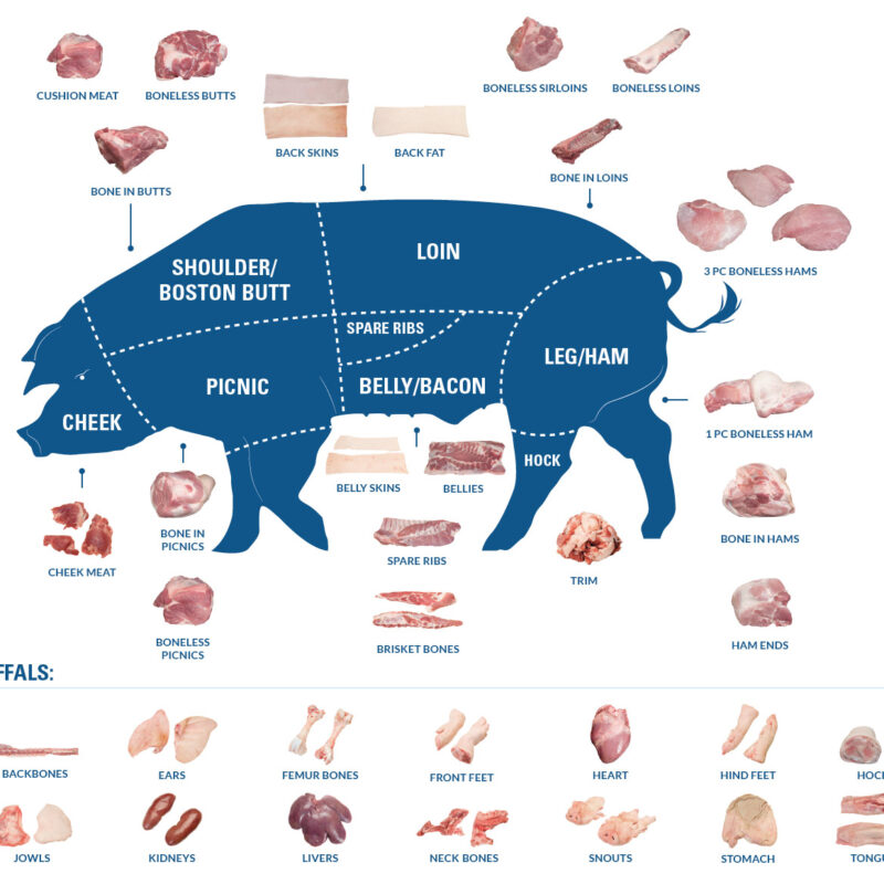 pork illustration 800x800